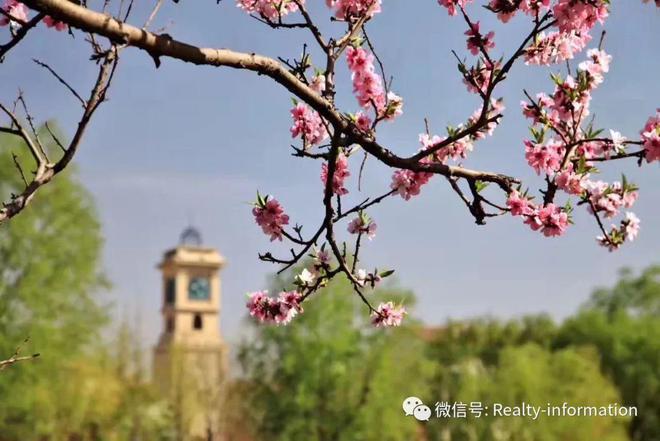 K8·凯发科技：鲁能格拉斯小镇售楼处-鲁能格拉斯小镇网站欢迎您丨2024首页(图13)