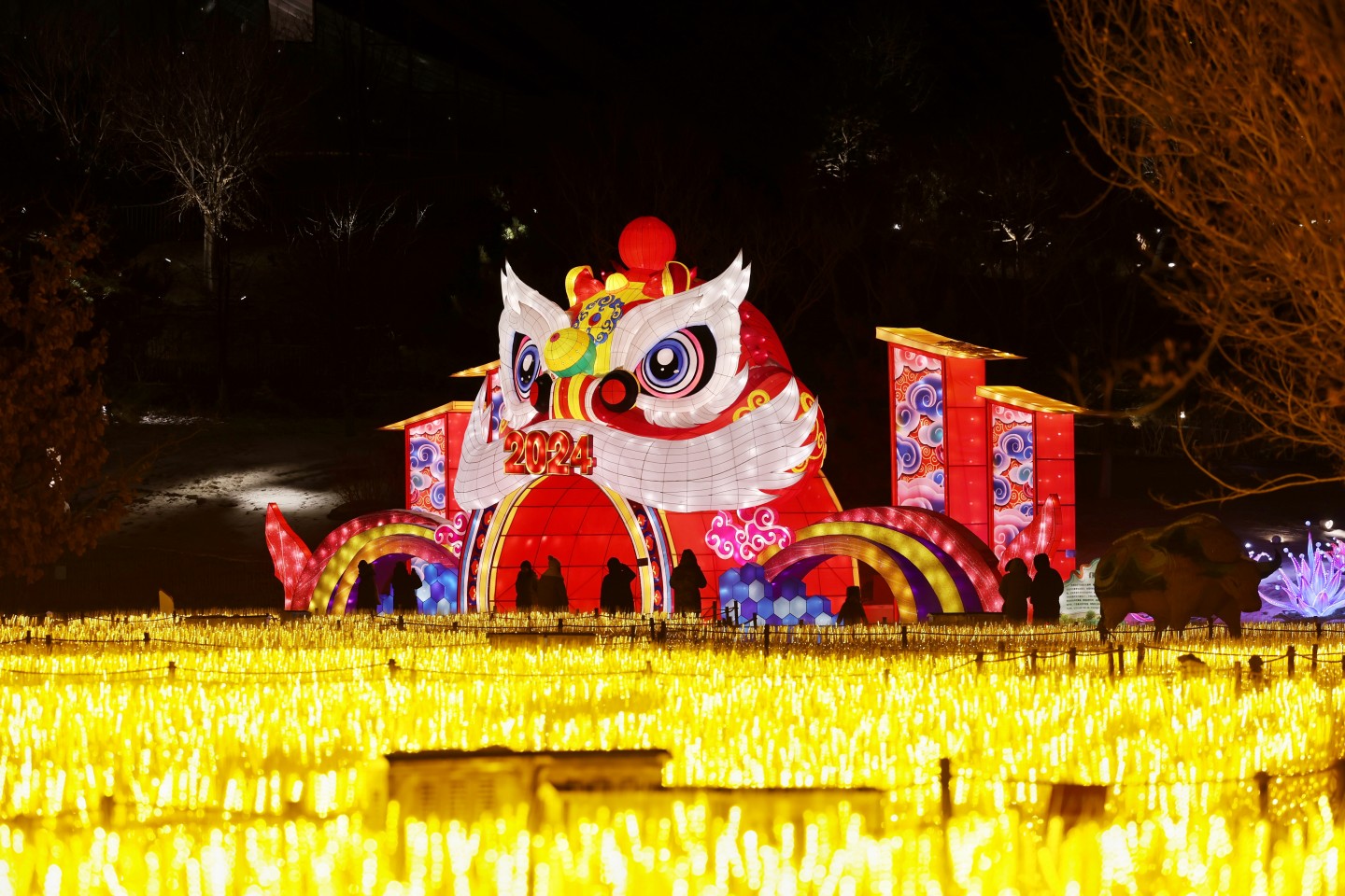北京世园公园元宵节推出闹花灯、花会表演等活动(图2)