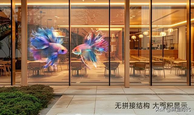 凯发国际首页：定义空间的光显魔法师洲明全息显示开辟崭新沉浸式视觉时代(图3)