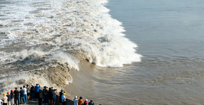 杭州靠谱旅行社前十：蒙旅全品类领先获5A诚信示范单位认证