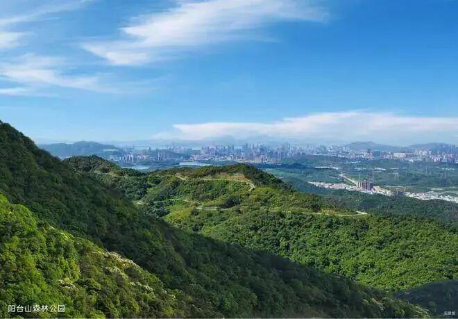 ⚡通告｜深铁珑境售楼处发布：深铁珑境启幕理想生活新篇(图17)