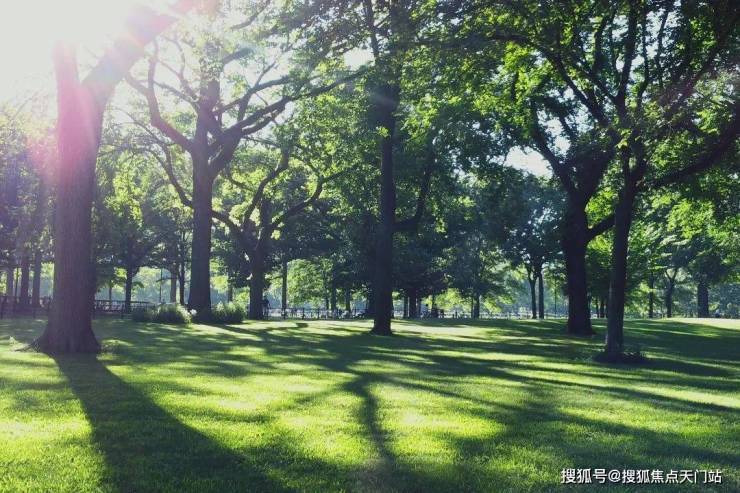 大华公园柏翠认证售楼处电话营销中心│公园柏翠2026售楼处-楼盘价格户型地址物业电话环境配套交房时间(图11)
