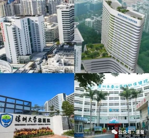 ✨启幕深圳湾澐玺售楼处发布：澐玺花园登临深圳湾之巅(图17)