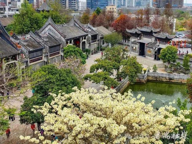 官宣-星河余荫溪谷销售中心最新电话发布由开发商认证(图12)